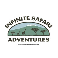 Infinite Safari Adventures