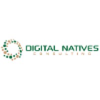 Digital Natives Consulting