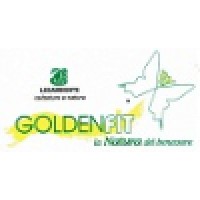 Goldenfit