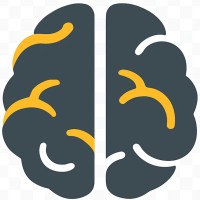 SoftSkillsRewired.com
