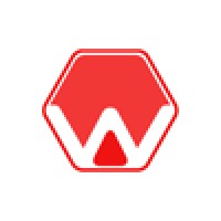 Wint Global logo