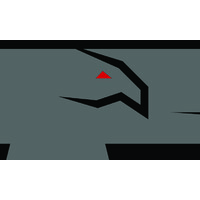 Raven Rock Networks, Inc logo