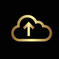 Next Level IT Pros logo
