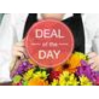 Larchmont Floral Designs