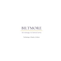 Biltmore Strategy and Solutions